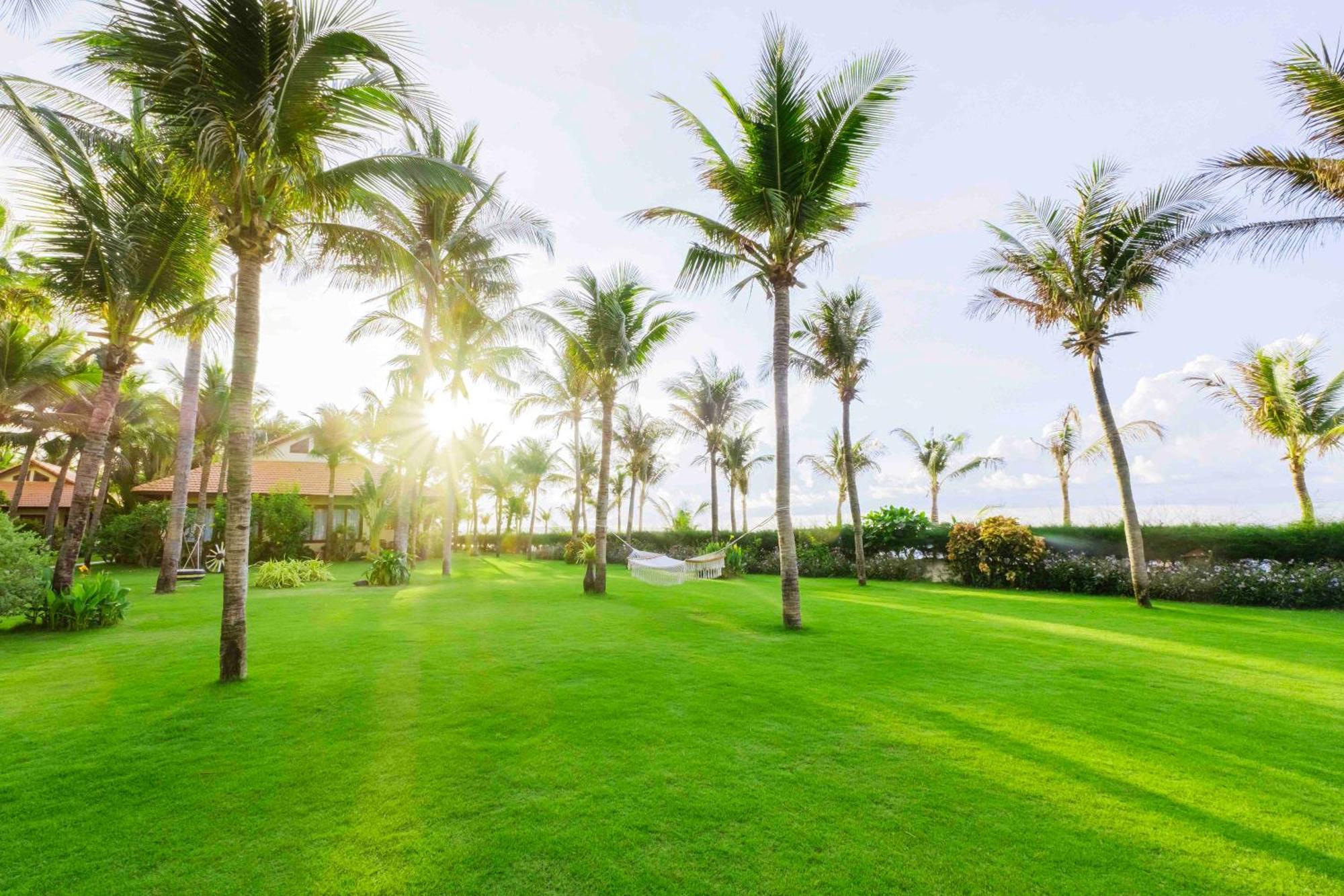 Sunny Beach Resort & Spa Phan Thiet Exterior foto